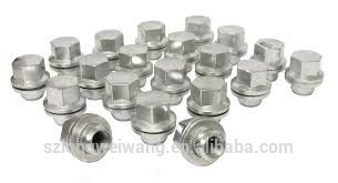 Custom Stainless Steel Wheel Hub Bolt Nut