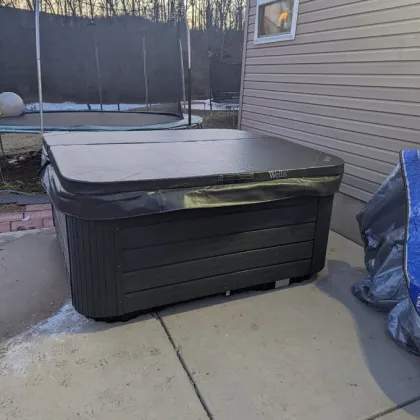 Indoor/Outdoor Balboa 5-Person Salt Water Hot Tub Spa