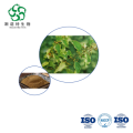 Taxillus Chinensis Extract - Bulk 10:1 for Kidney & Joint Support Supplements