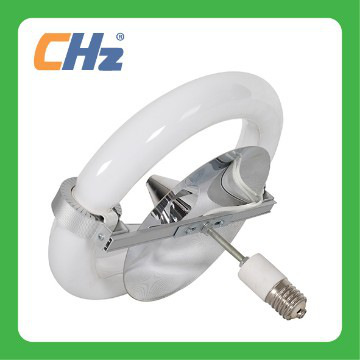 energy saving induction lamp light source 40W~400W circle lamp