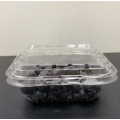 Emballage jetable Fruit / Blueberries Conteneur