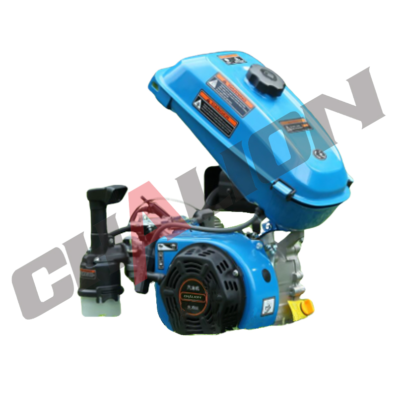 Small Portable Gasoline Engine