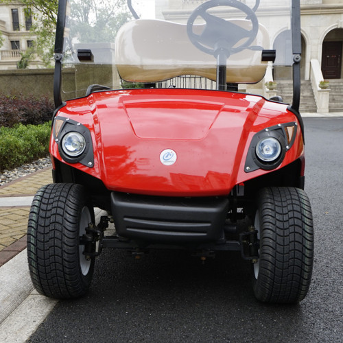 300CC carro de golf de gasolina de 2 asientos