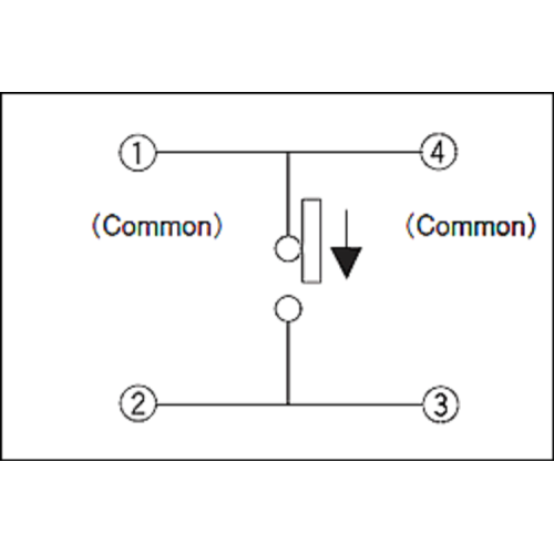 Low-profile Two-way Action Switch with Positioning Pin