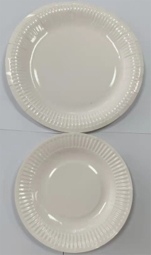 Round Paper Plate For Birthday