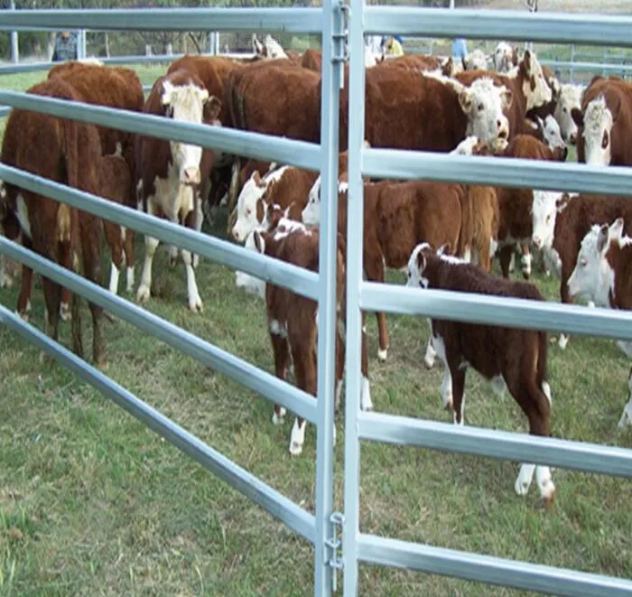 Galvanized Bull Cattle Fence Panel Wholesale Farm Fencing