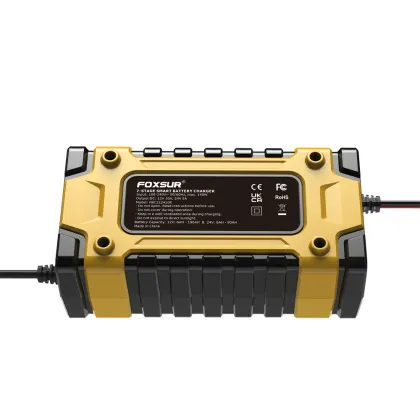 Japan Car Battery Charger 6V 12V AGM Battery Charger