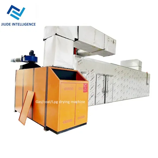 automation Mango Slices  desiccated Coconut Flakes commercial Drying fruit dryer machine