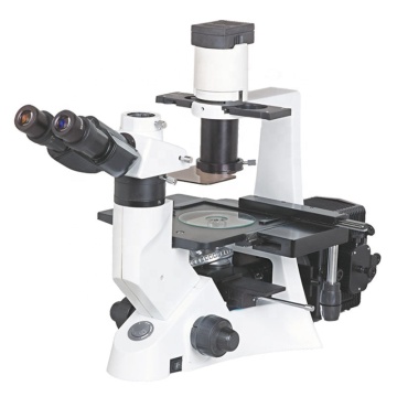 FL-100T Inverted Fluorescence Microscope for Laboratory Research