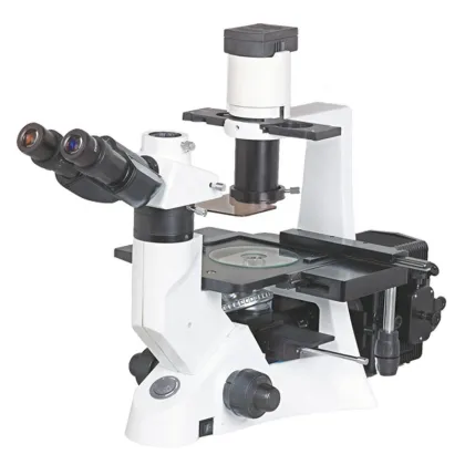 FL-100T Inverted Fluorescence Microscope for Laboratory Research