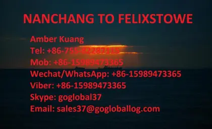 Jiangxi Nanchang Sea Freight to Britain Felixstowe