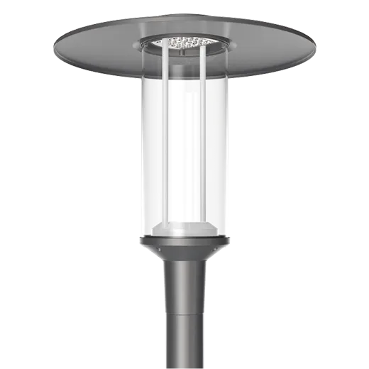 100W Solar Powered Outdoor Garden Light