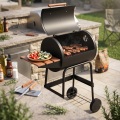 Grill au charbon de bois couvert pour la cuisson au barbecue en plein air
