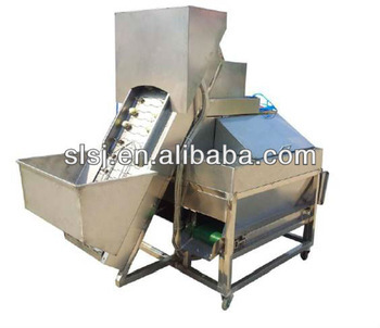 Onion Peeling Machine for Onion Process