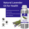 Whole Price Pure Hyssop Essential Oil Hyssop Decumbensオイル