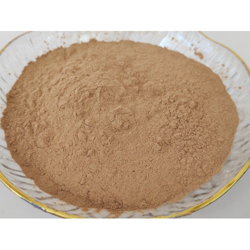 Extracto de hongo reishi