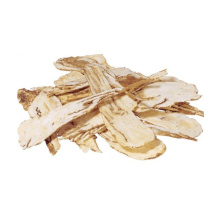 High Purity Nature Angelica Extract Chinese angelica root extract Factory