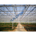 agricultural multi-span vegetables greenhouse