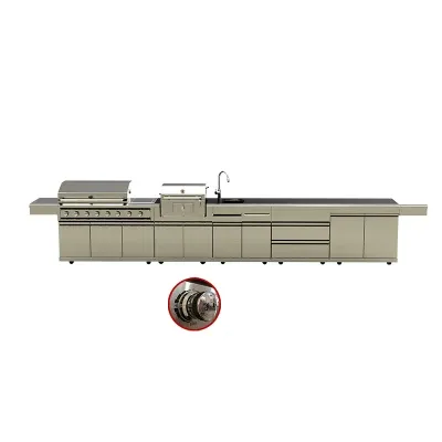 Kitchen Cabinet European Style Refrigerator Stainless Barbeque Charcoal Gas Grill