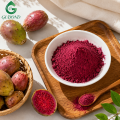 Polvo de fruta de cactus para suplementos dietéticos