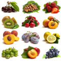 Máquina de alza y clasificación de cítricos de fruta