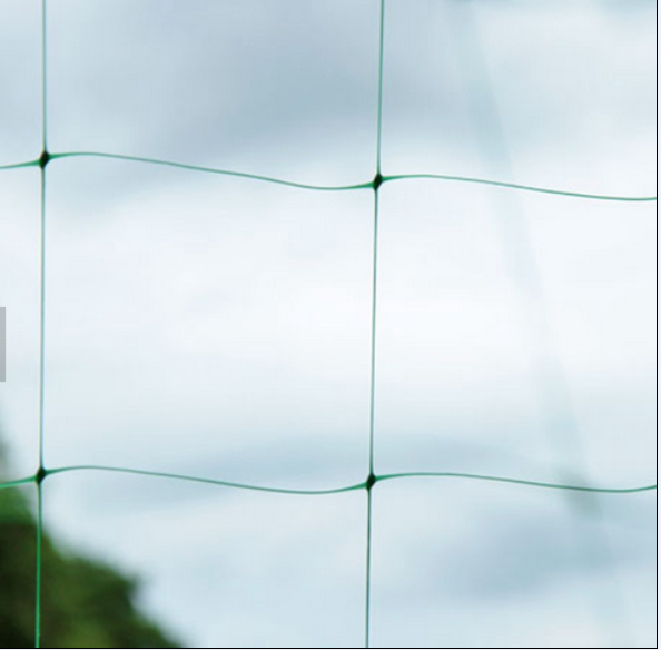 Trellis Netting Plastic Wire Mesh