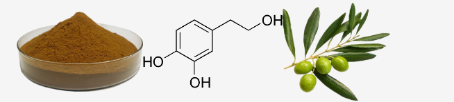 Hydroxytyrosol