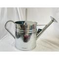 Galvanized 10L striped large watering can