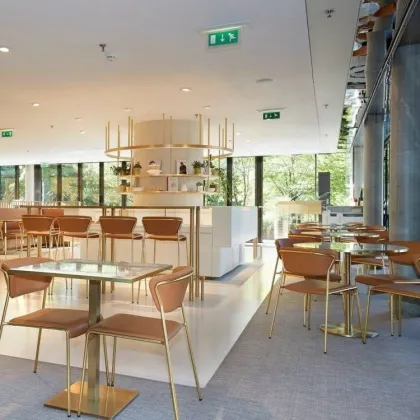 Outdoor Dining Furniture: Fashion Cafe & Restaurant Sets