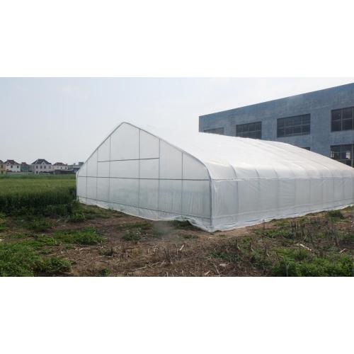 Single tunnel greenhouse Customized Film Covering Material