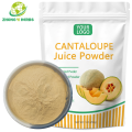 Polvo de fruta de cantalupo