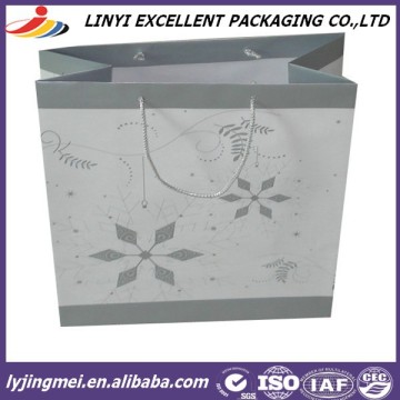 Any Printing And Logo Accepted Paper Bag Clothes Bag