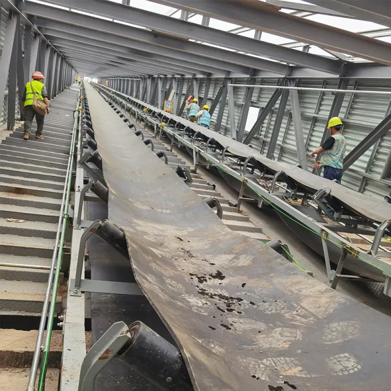 Customized Belt Conveyors for Power, Metallurgy, Chemical, and Mining Industries