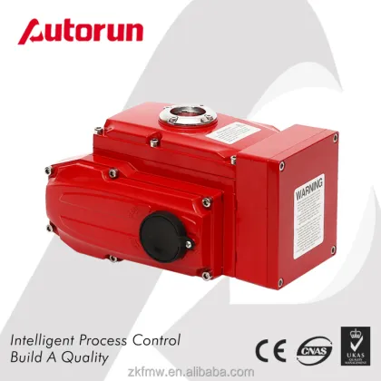 Electric Actuator, Motorized Actuator