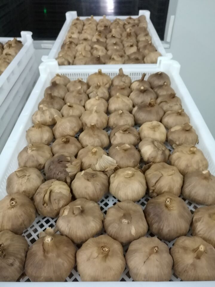 whole black garlic