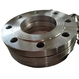 stainless steel 304 forged flange