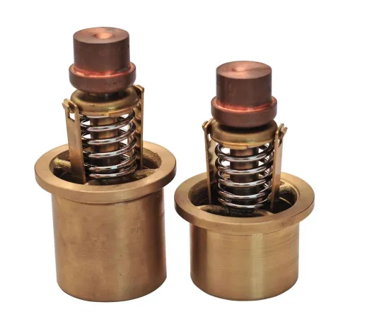 Air Compressor Part Cooper Element Digital Thermostat Valve