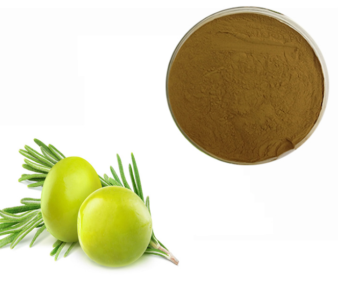 Olive Png