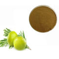 Olive Leaf Extract Powder 10% Hplc Oleuropein