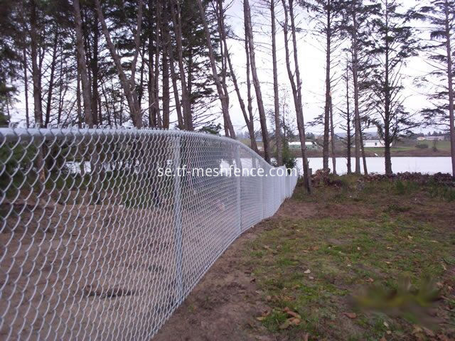 chain link fence (3)