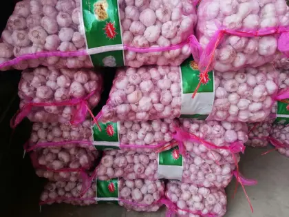 Brand New Crop Fresh Garlic