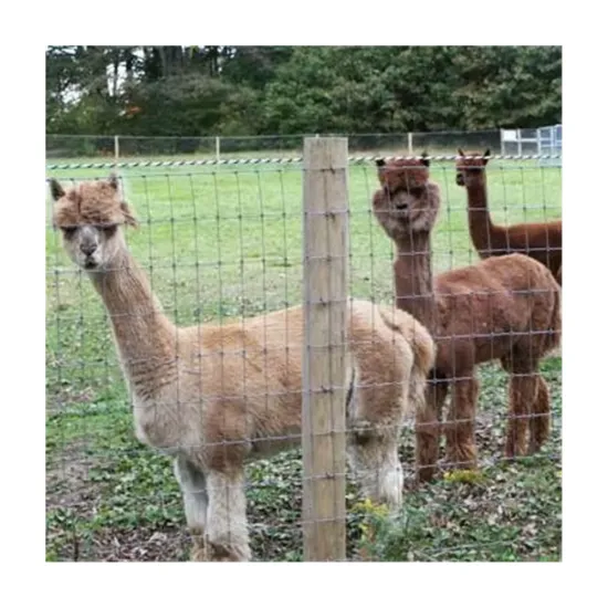 High Tensile Deer Net Wire Galvanized Cattle Fence