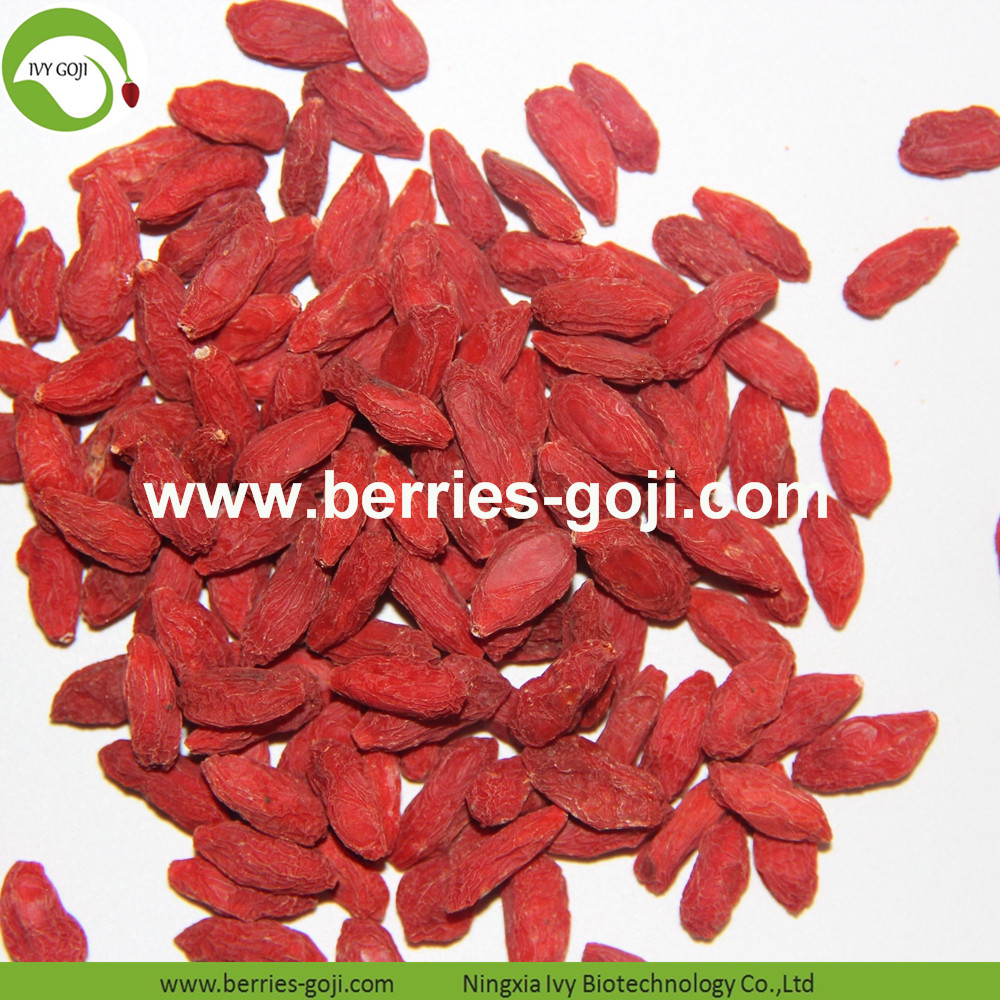 Goji Berry