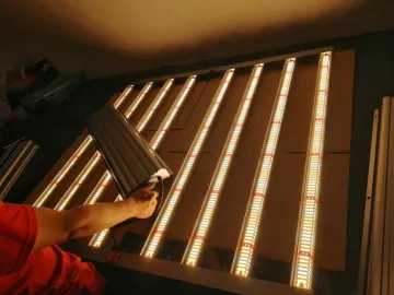 Full spectrum grow lamp horticulture plant light