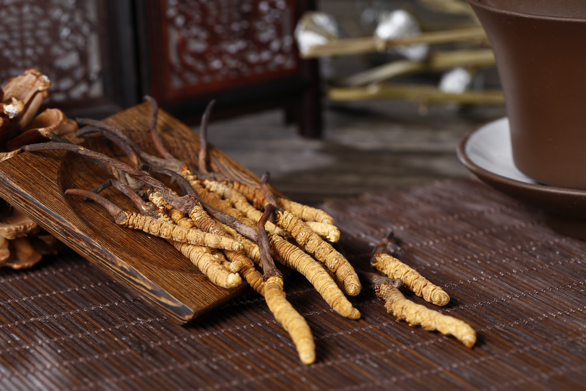 Cordyceps Militaris Cordyceps Militaris