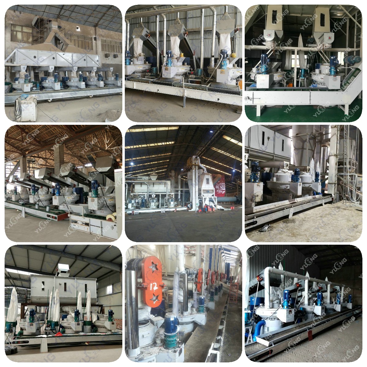 Yulong Timber Pellet Pressing Machinery