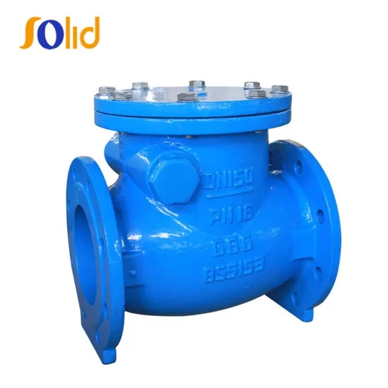 BS5153 Ductile Cast Iron Flanged Swing Check Valve PN16