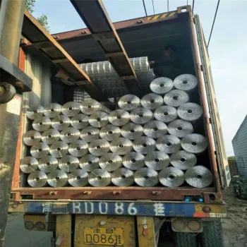 Chengsen galvanized welded mesh for sale