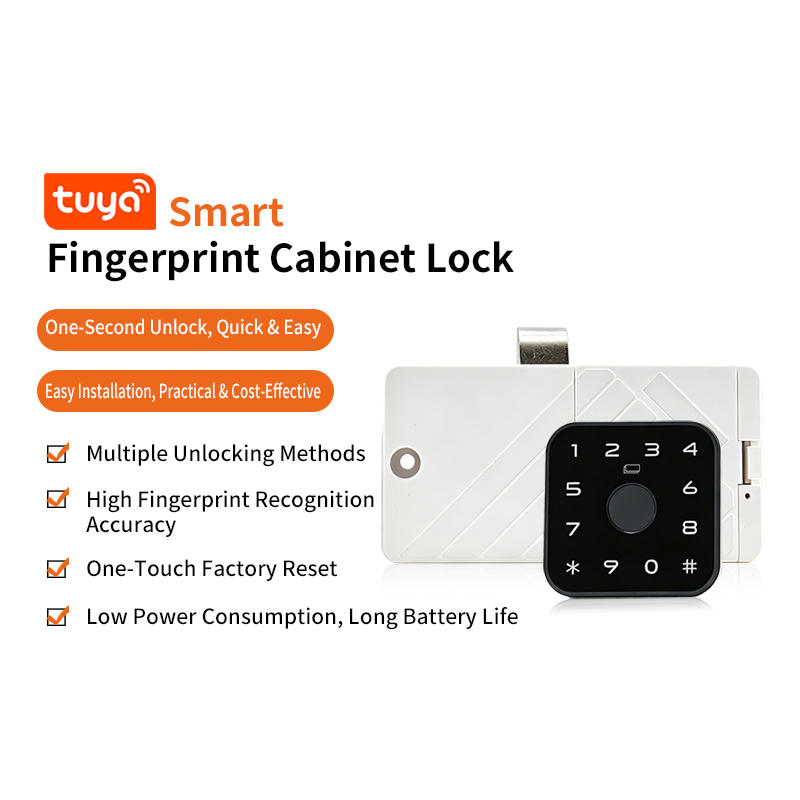 Fingerprint cabinet lock