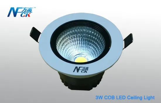 Ac 240volt 3w Cob Led Ceiling Light , Cool White / Pure White Led